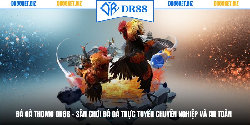 Đá Gà Thomo DR88 - Sân Chơi Đá Gà Trực Tuyến Chuyên nghiệp