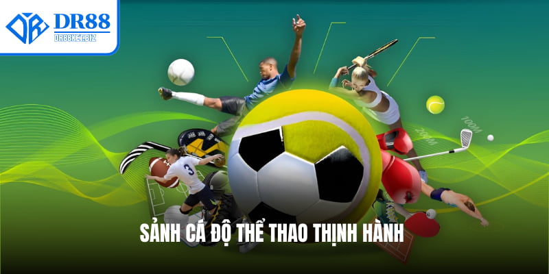 Sảnh cá độ Thể thao thịnh hành